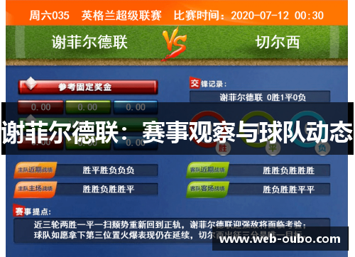 谢菲尔德联：赛事观察与球队动态