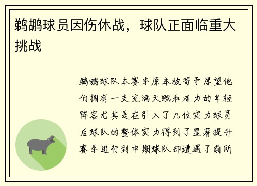 鹈鹕球员因伤休战，球队正面临重大挑战